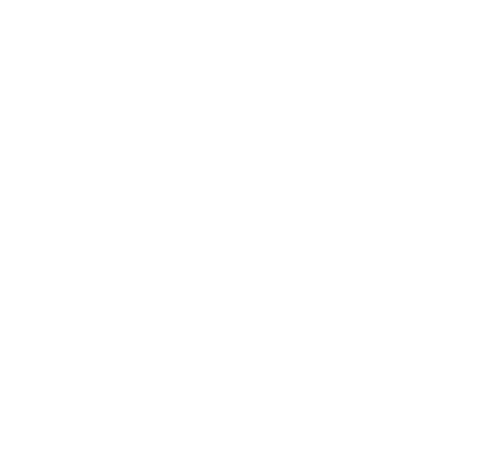 wanaka photo tours logo